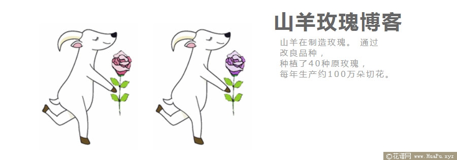 紫羊绒/山羊紫色