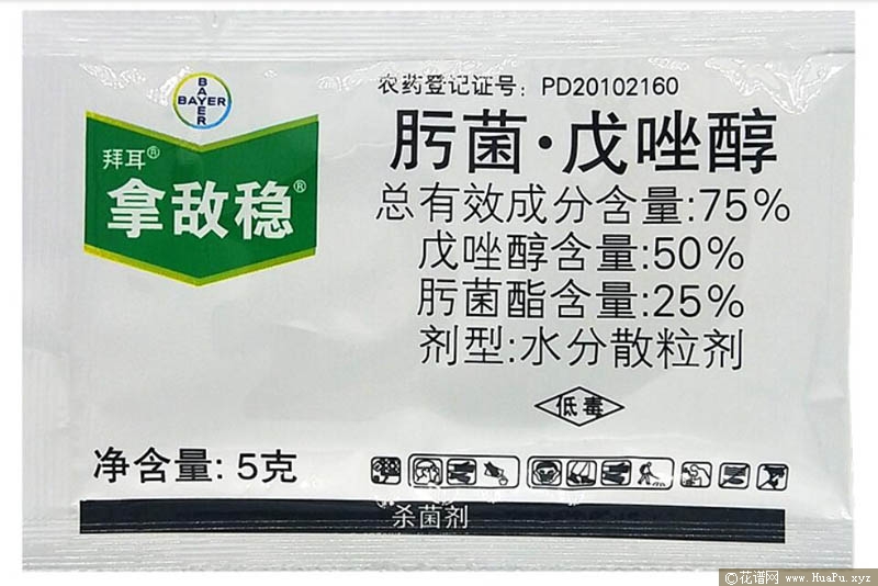 月季白粉病的防治