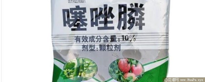 月季根结线虫病预防和治疗