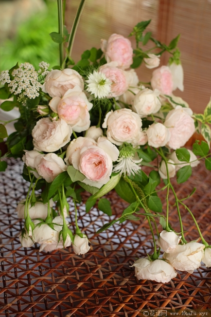 小抒情曲