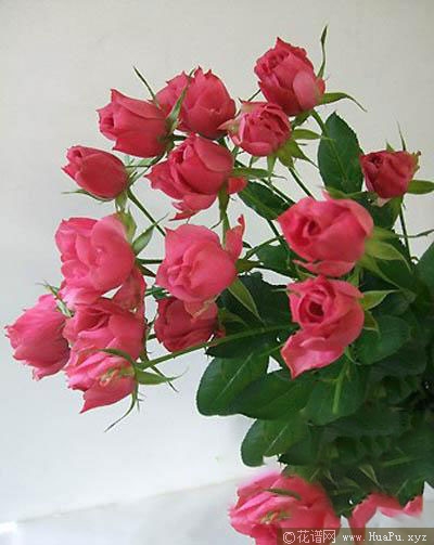 和花