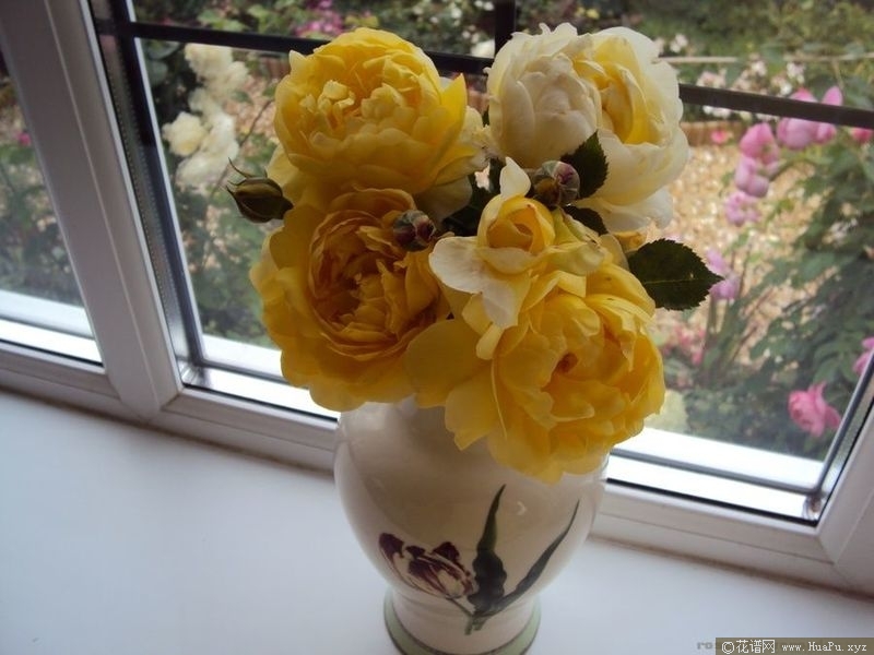 The Poet\'s Wife诗人的妻子