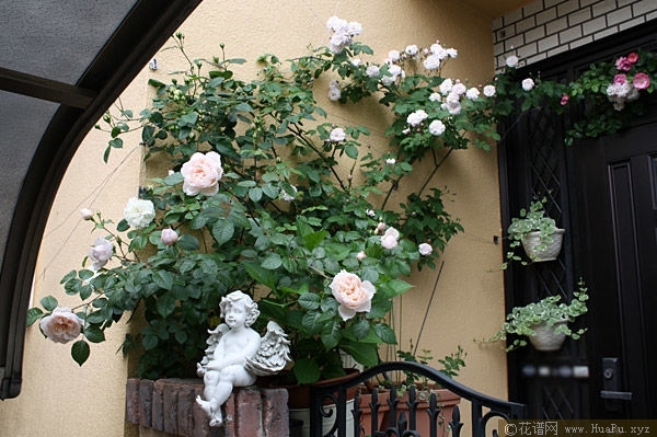 The Generous Gardener慷慨的园丁 