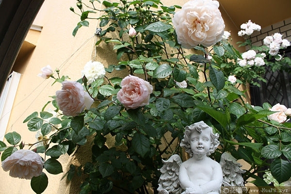 The Generous Gardener慷慨的园丁 