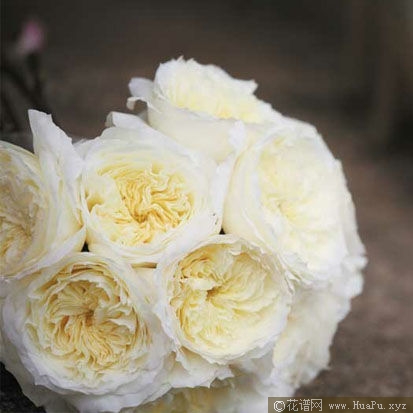 Patience耐心
