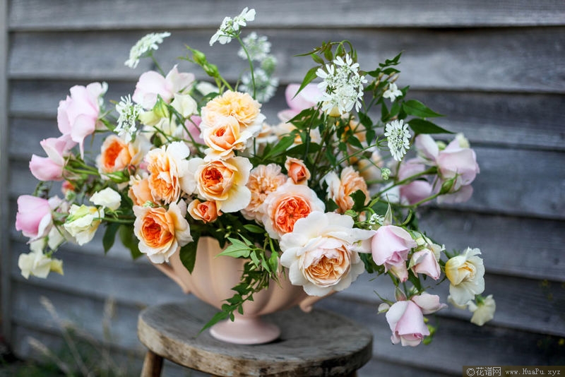 Crown Princess Margareta玛格丽特王妃 