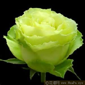 Limbo迷失城