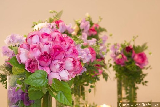 伊芙伯爵