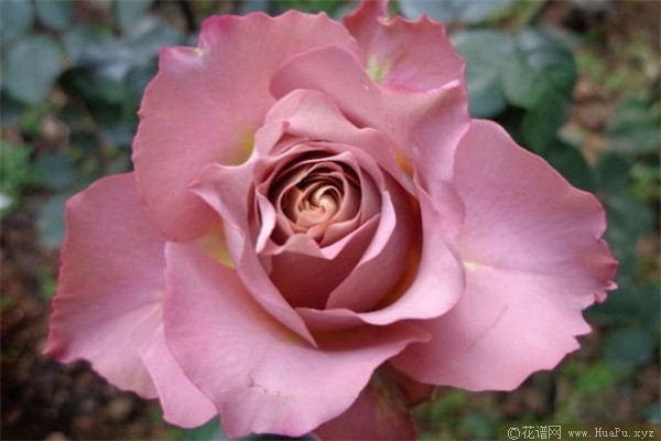 英伦节拍