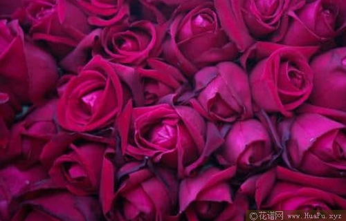 路易十四