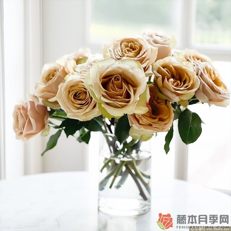 黄金芥末